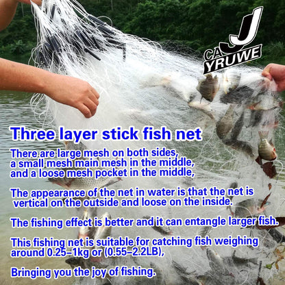 539886411