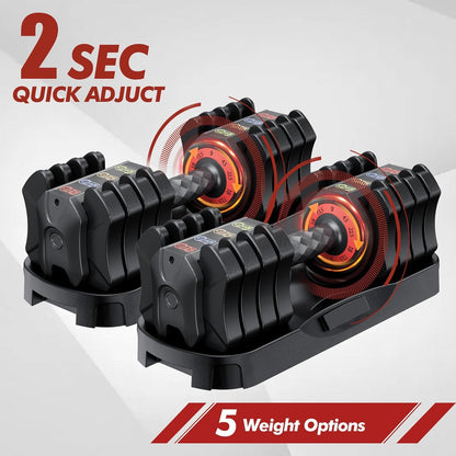 538511981